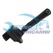 bobina accensione,INDUTTORE ACCENSIONE,MODULO ACCENSIONE