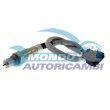 sonda lambda,DSIPOSITIVO CONTROLLO EMISSIONE SCARICO,GRUPPO EGR,VALVOLA RICIRCOLAZIONE GAS,VALVOLA RICIRCOLO GAS SCARICO