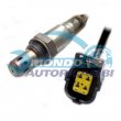 sonda lambda,SENSORE OSSIGENO