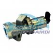 valvola egr,DSIPOSITIVO CONTROLLO EMISSIONE SCARICO,GRUPPO EGR,VALVOLA RICIRCOLAZIONE GAS,VALVOLA RICIRCOLO GAS SCARICO