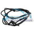 sensore abs,SENSORE CIRCUITO FRENANTE,SENSORE COMANDO ABS