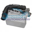 oil cooler raffreddamento olio