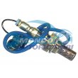 sonda lambda,DSIPOSITIVO CONTROLLO EMISSIONE SCARICO,GRUPPO EGR,VALVOLA RICIRCOLAZIONE GAS,VALVOLA RICIRCOLO GAS SCARICO