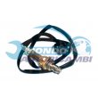 sonda lambda,SENSORE OSSIGENO