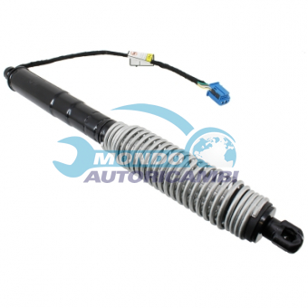 ATTUATORE ELETTRICO BAGAGLIAIO