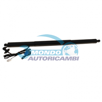 ATTUATORE ELETTRICO BAGAGLIAIO