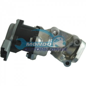 VALVOLA EGR, DSIPOSITIVO CONTROLLO EMISSIONE SCARICO, GRUPPO EGR, VALVOLA RICIRCOLAZIONE GAS, VALVOLA RICIRCOLO GAS SCARICO