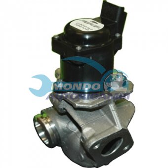 VALVOLA EGR, DSIPOSITIVO CONTROLLO EMISSIONE SCARICO, GRUPPO EGR, VALVOLA RICIRCOLAZIONE GAS, VALVOLA RICIRCOLO GAS SCARICO