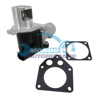 VALVOLA EGR, DSIPOSITIVO CONTROLLO EMISSIONE SCARICO, GRUPPO EGR, VALVOLA RICIRCOLAZIONE GAS, VALVOLA RICIRCOLO GAS SCARICO