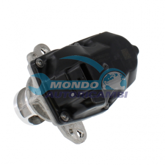 VALVOLA EGR, DSIPOSITIVO CONTROLLO EMISSIONE SCARICO, GRUPPO EGR, VALVOLA RICIRCOLAZIONE GAS, VALVOLA RICIRCOLO GAS SCARICO