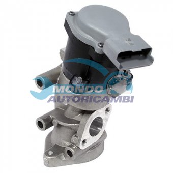 VALVOLA EGR, DSIPOSITIVO CONTROLLO EMISSIONE SCARICO, GRUPPO EGR, VALVOLA RICIRCOLAZIONE GAS, VALVOLA RICIRCOLO GAS SCARICO