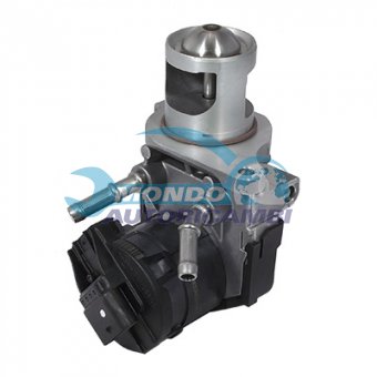 VALVOLA EGR, DSIPOSITIVO CONTROLLO EMISSIONE SCARICO, GRUPPO EGR, VALVOLA RICIRCOLAZIONE GAS, VALVOLA RICIRCOLO GAS SCARICO