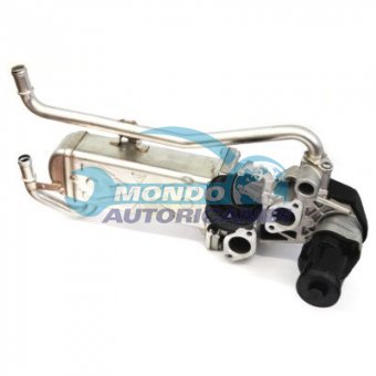 VALVOLA EGR, DSIPOSITIVO CONTROLLO EMISSIONE SCARICO, GRUPPO EGR, VALVOLA RICIRCOLAZIONE GAS, VALVOLA RICIRCOLO GAS SCARICO