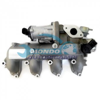 VALVOLA EGR, DSIPOSITIVO CONTROLLO EMISSIONE SCARICO, GRUPPO EGR, VALVOLA RICIRCOLAZIONE GAS, VALVOLA RICIRCOLO GAS SCARICO