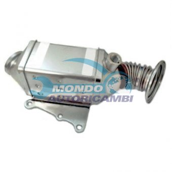 VALVOLA EGR, DSIPOSITIVO CONTROLLO EMISSIONE SCARICO, GRUPPO EGR, VALVOLA RICIRCOLAZIONE GAS, VALVOLA RICIRCOLO GAS SCARICO