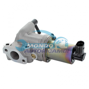 VALVOLA EGR, DSIPOSITIVO CONTROLLO EMISSIONE SCARICO, GRUPPO EGR, VALVOLA RICIRCOLAZIONE GAS, VALVOLA RICIRCOLO GAS SCARICO