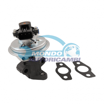 VALVOLA EGR, DSIPOSITIVO CONTROLLO EMISSIONE SCARICO, GRUPPO EGR, VALVOLA RICIRCOLAZIONE GAS, VALVOLA RICIRCOLO GAS SCARICO