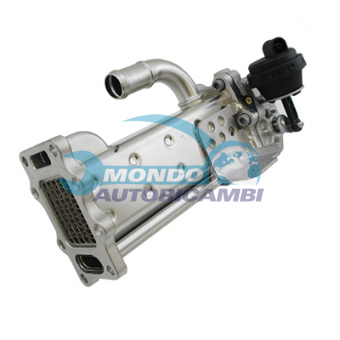 VALVOLA EGR, DSIPOSITIVO CONTROLLO EMISSIONE SCARICO, GRUPPO EGR, VALVOLA RICIRCOLAZIONE GAS, VALVOLA RICIRCOLO GAS SCARICO