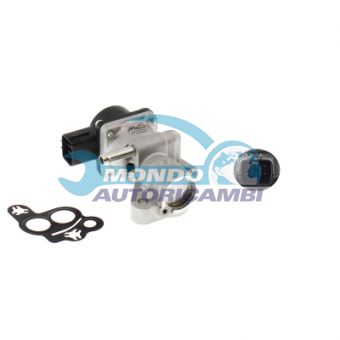 VALVOLA EGR, DSIPOSITIVO CONTROLLO EMISSIONE SCARICO, GRUPPO EGR, VALVOLA RICIRCOLAZIONE GAS, VALVOLA RICIRCOLO GAS SCARICO