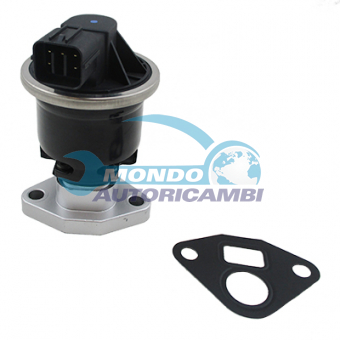 VALVOLA EGR, DSIPOSITIVO CONTROLLO EMISSIONE SCARICO, GRUPPO EGR, VALVOLA RICIRCOLAZIONE GAS, VALVOLA RICIRCOLO GAS SCARICO