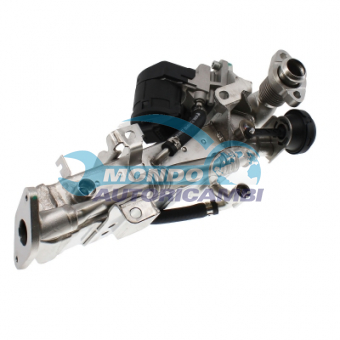 VALVOLA EGR, DSIPOSITIVO CONTROLLO EMISSIONE SCARICO, GRUPPO EGR, VALVOLA RICIRCOLAZIONE GAS, VALVOLA RICIRCOLO GAS SCARICO