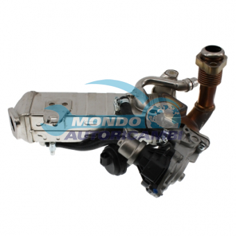 VALVOLA EGR, DSIPOSITIVO CONTROLLO EMISSIONE SCARICO, GRUPPO EGR, VALVOLA RICIRCOLAZIONE GAS, VALVOLA RICIRCOLO GAS SCARICO