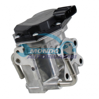 VALVOLA EGR, DSIPOSITIVO CONTROLLO EMISSIONE SCARICO, GRUPPO EGR, VALVOLA RICIRCOLAZIONE GAS, VALVOLA RICIRCOLO GAS SCARICO