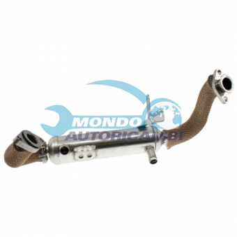 VALVOLA EGR, DSIPOSITIVO CONTROLLO EMISSIONE SCARICO, GRUPPO EGR, VALVOLA RICIRCOLAZIONE GAS, VALVOLA RICIRCOLO GAS SCARICO