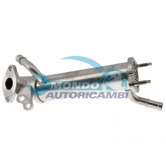 VALVOLA EGR, DSIPOSITIVO CONTROLLO EMISSIONE SCARICO, GRUPPO EGR, VALVOLA RICIRCOLAZIONE GAS, VALVOLA RICIRCOLO GAS SCARICO
