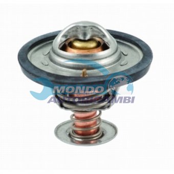 TERMOSTATO, TERMOINTERRUTTORE