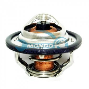 TERMOSTATO, TERMOINTERRUTTORE