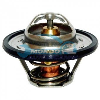 TERMOSTATO, TERMOINTERRUTTORE