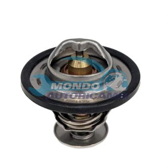 TERMOSTATO, TERMOINTERRUTTORE