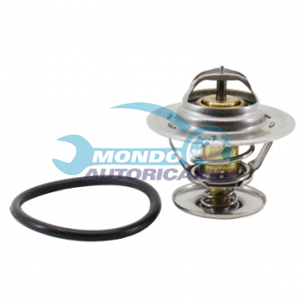 TERMOSTATO, TERMOINTERRUTTORE