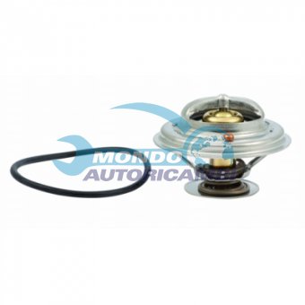 TERMOSTATO, TERMOINTERRUTTORE