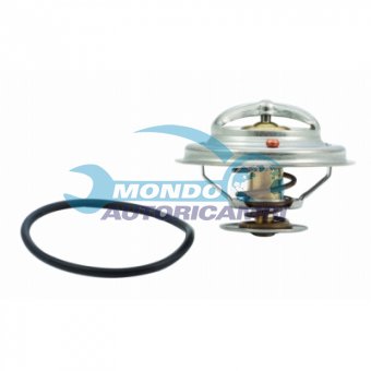 TERMOSTATO, TERMOINTERRUTTORE