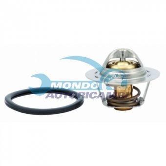 TERMOSTATO, TERMOINTERRUTTORE