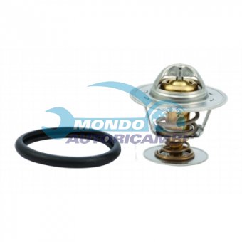 TERMOSTATO, TERMOINTERRUTTORE