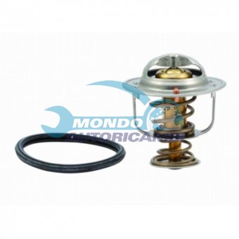 TERMOSTATO, TERMOINTERRUTTORE