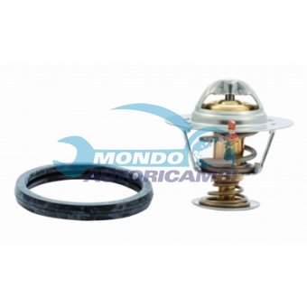 TERMOSTATO, TERMOINTERRUTTORE