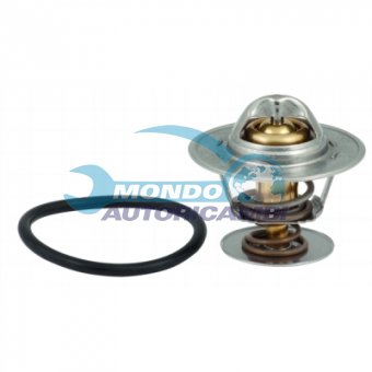 TERMOSTATO, TERMOINTERRUTTORE