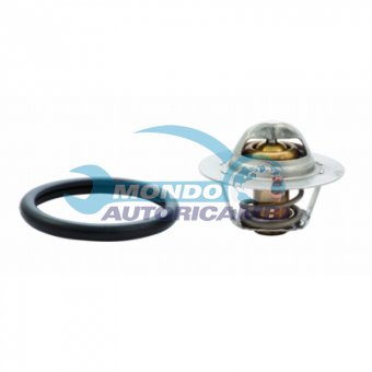 TERMOSTATO, TERMOINTERRUTTORE