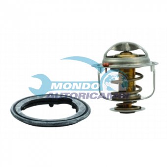 TERMOSTATO, TERMOINTERRUTTORE