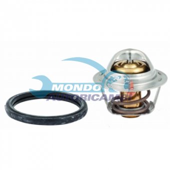 TERMOSTATO, TERMOINTERRUTTORE