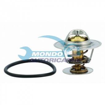 TERMOSTATO, TERMOINTERRUTTORE