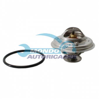 TERMOSTATO, TERMOINTERRUTTORE