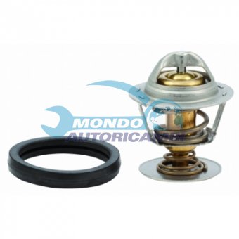 TERMOSTATO, TERMOINTERRUTTORE