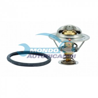 TERMOSTATO, TERMOINTERRUTTORE