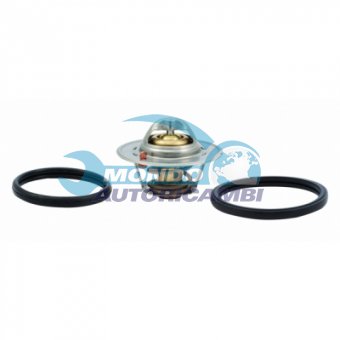 TERMOSTATO, TERMOINTERRUTTORE