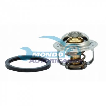 TERMOSTATO, TERMOINTERRUTTORE